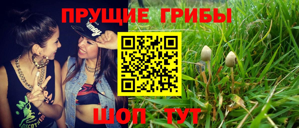 Галлюциногенные грибы MAGIC MUSHROOMS  купить наркоту  Муром  Вход с VPN 