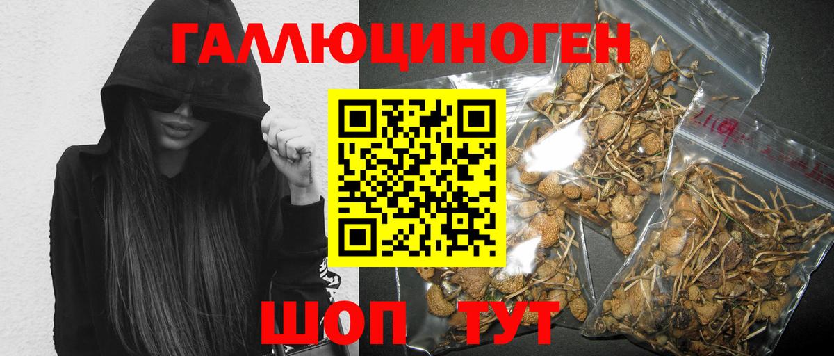 Псилоцибиновые грибы Psilocybe Муром